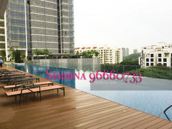 The Hillier (D23), Apartment #123652482